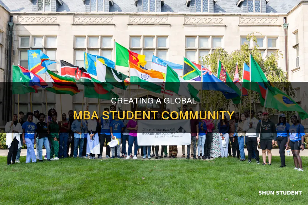 how to develop and international student mba organization