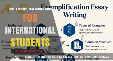 Essay Writing Skills: A Guide for International Students
