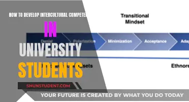 Nurturing Global Citizens: Strategies for Intercultural Competence in Higher Education