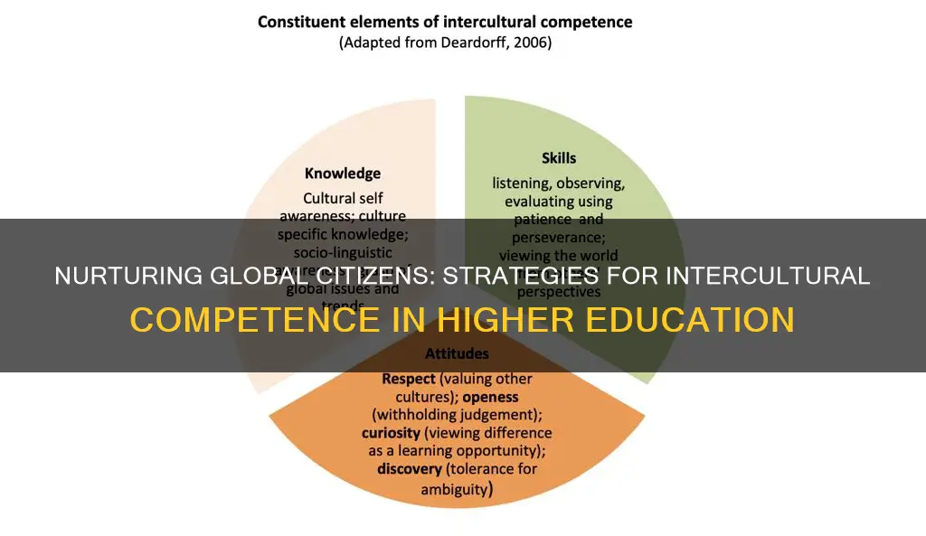 how to develop intercultural competence in university students