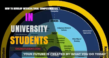 Developing Intercultural Competence: Preparing University Students for Global Citizenship