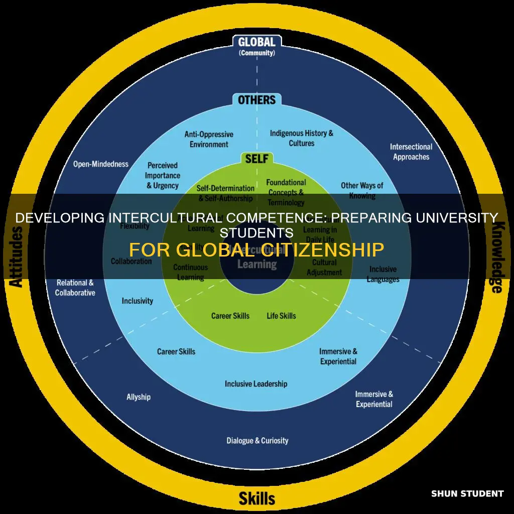 how to develop intercultural competence in university students