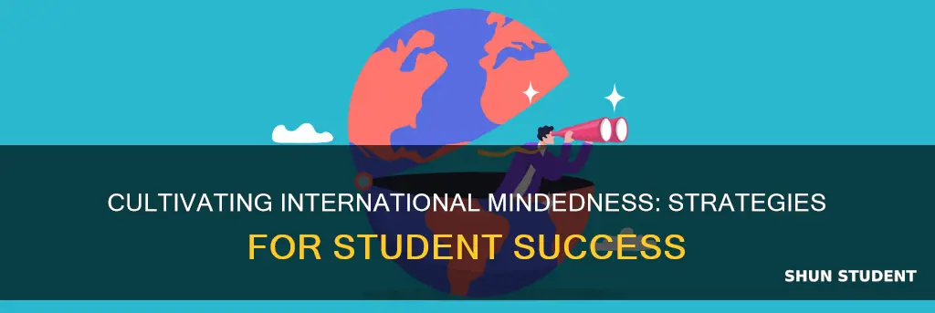 how to develop international mindedness in students