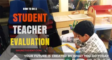 Effective Strategies for Conducting Student-Teacher Evaluations in Education