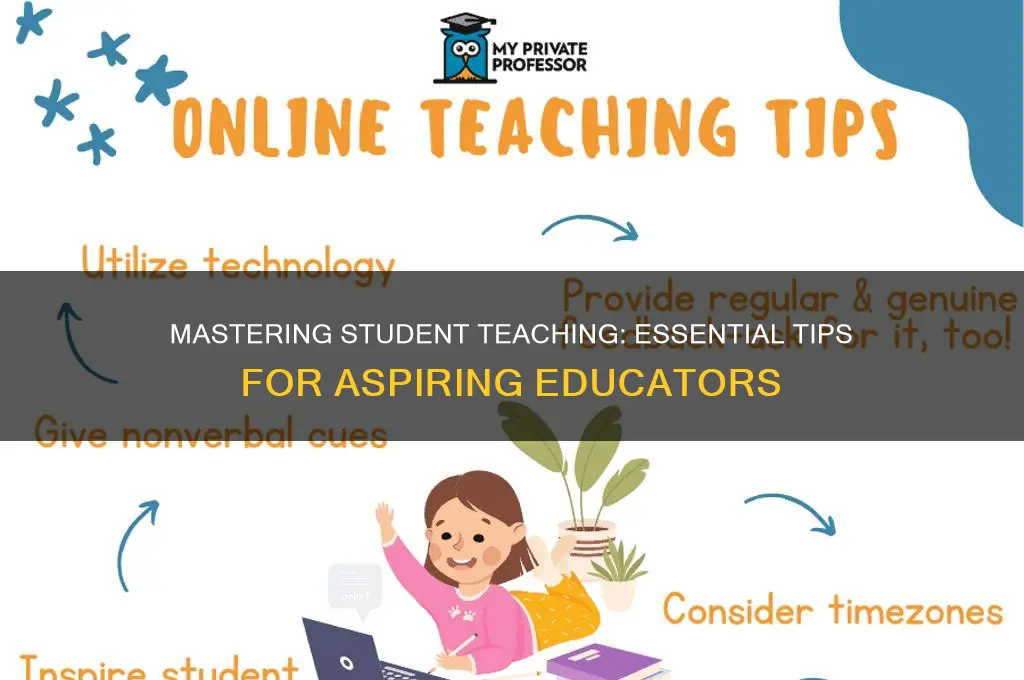 how to do student teaching