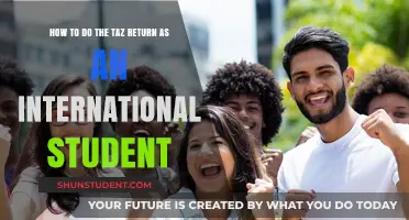 International Students: File Your German Tax Return