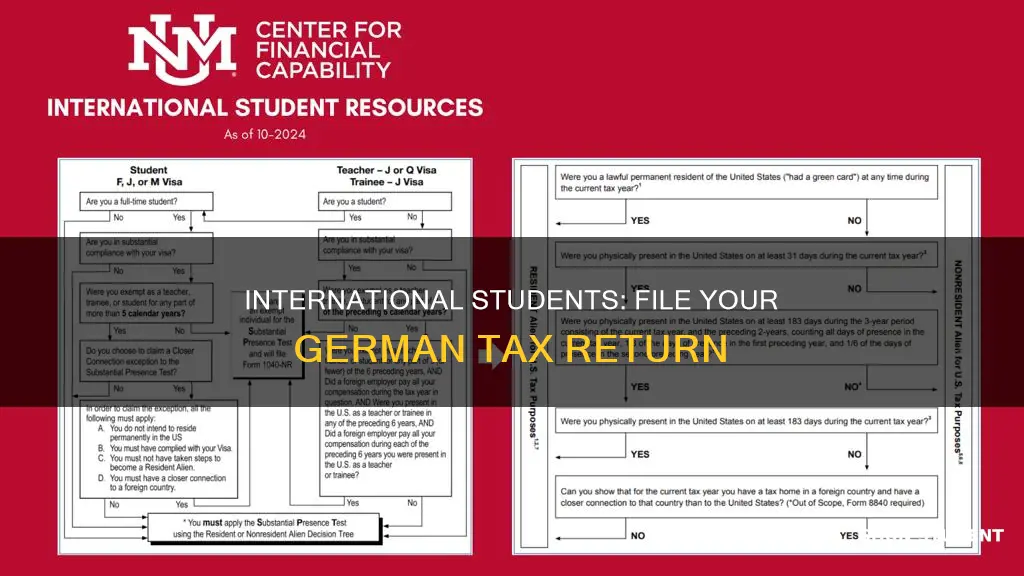 how to do the taz return as an international student