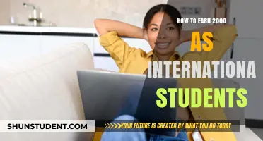 Lucrative Ways for International Students to Earn $2000