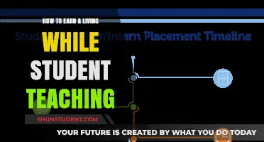 Balancing Student Teaching and Income: Practical Tips for Aspiring Educators