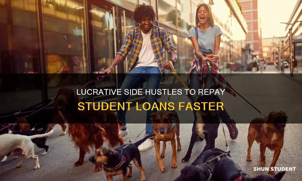 how to earn extra money to pay off student loans