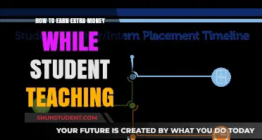 Smart Strategies for Students: Earning Extra Income During Teaching Placements