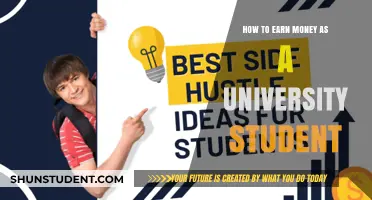 Lucrative Tips for University Students to Earn Money