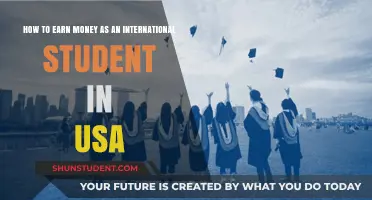 Maximizing Income Strategies for International Students in the US