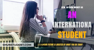 International Students: Earning Money Strategies