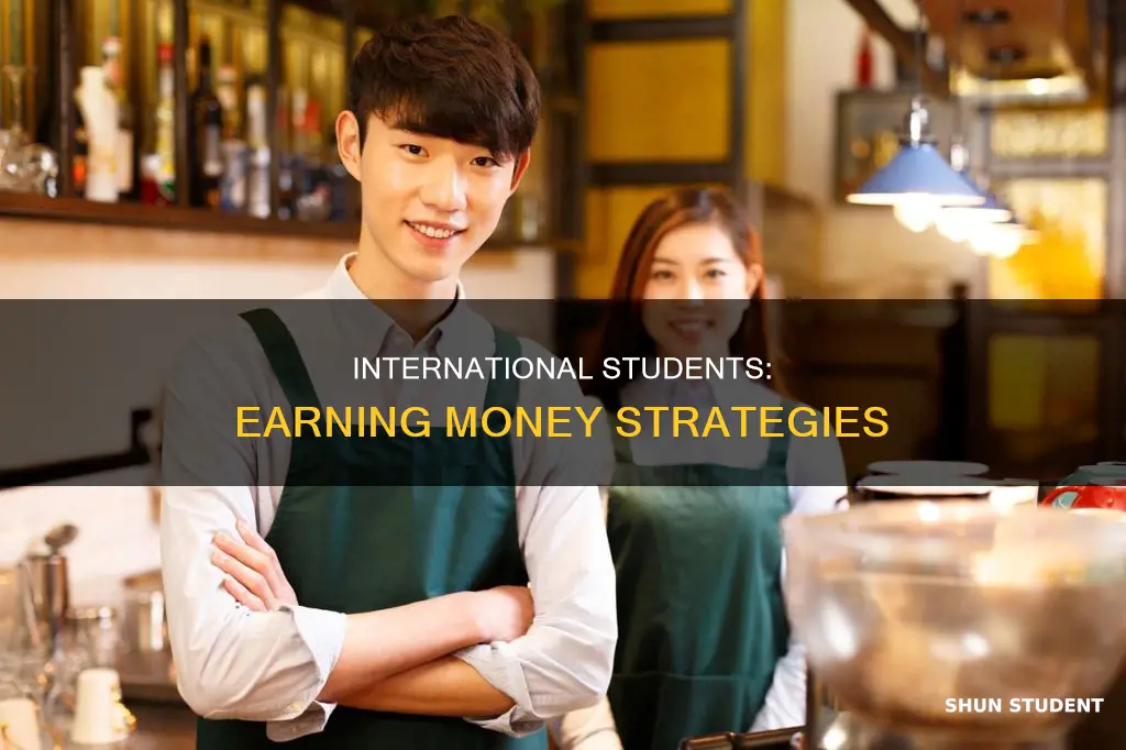 how to earn money as an international student