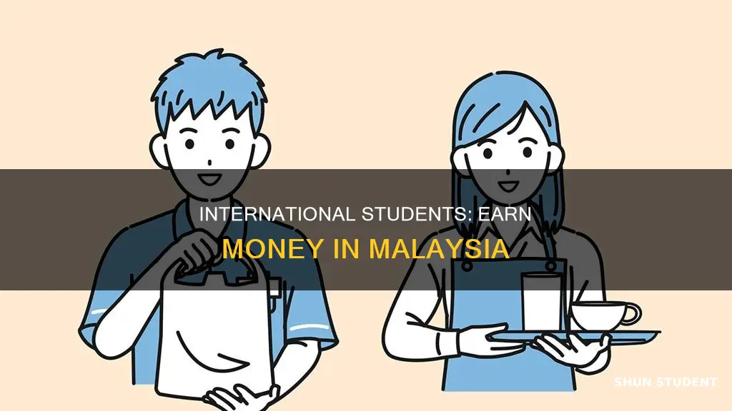 how to earn money in malaysia as an international student