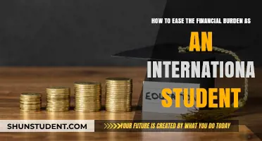 International Student? Strategies to Ease Financial Stress