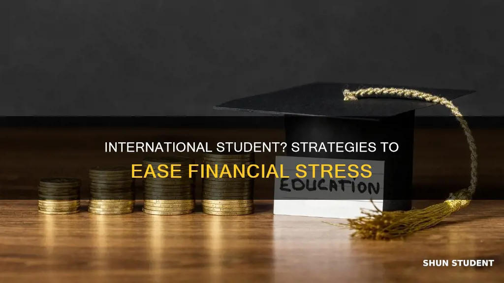 how to ease the financial burden as an international student