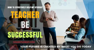 Empowering Student Teachers: Strategies for Mentors to Foster Success