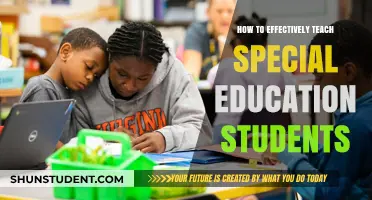 Empowering Special Education: Strategies for Inclusive and Effective Teaching