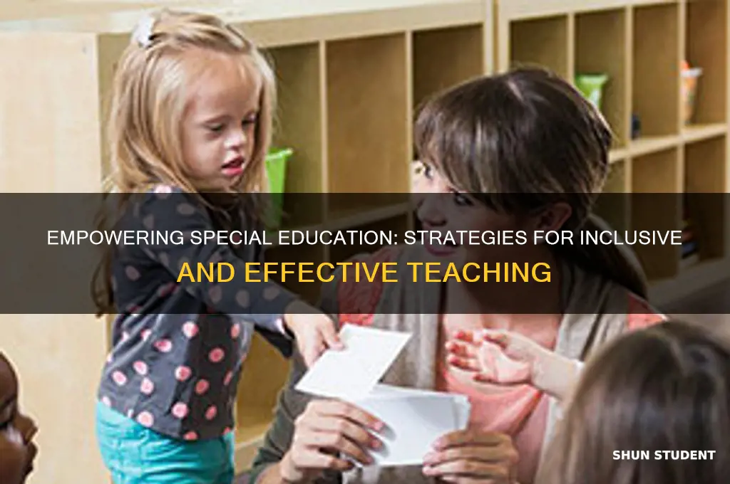 how to effectively teach special education students