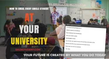 Mastering the Art of University-Wide Emailing