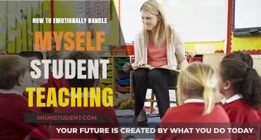 Embracing the Journey: Emotional Resilience for Student Teachers