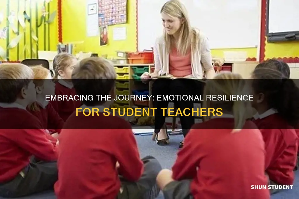 how to emotionally handle myself student teaching