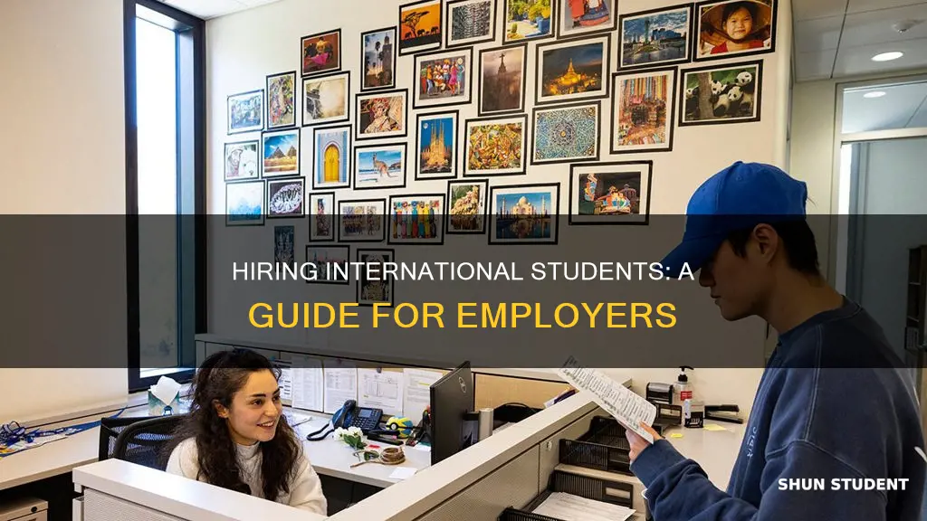how to employ an international student