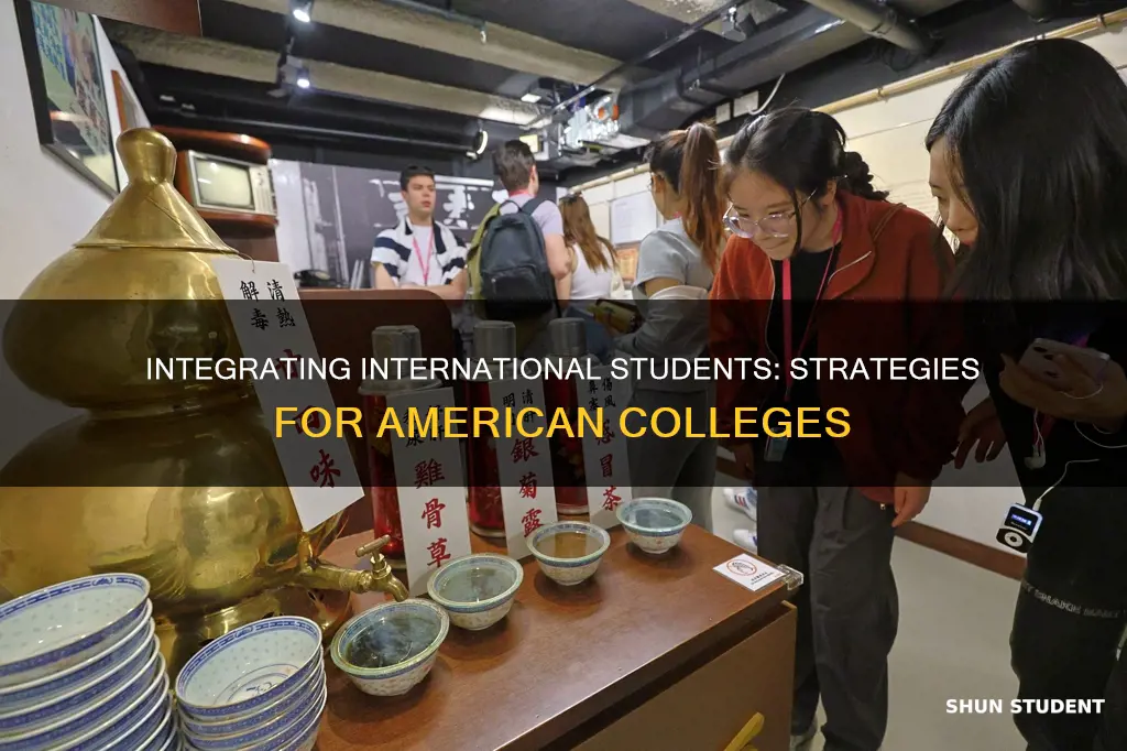how to encourage integration between american students and international student