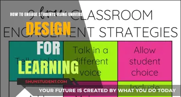 Engaging Students: Universal Design for Learning Strategies