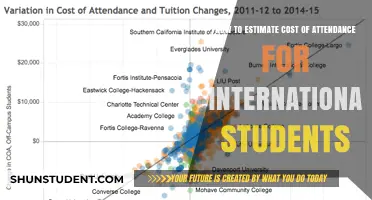 Estimating Costs: International Student Guide to Affording University
