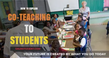 Understanding Co-Teaching: A Student's Guide to Collaborative Learning Success