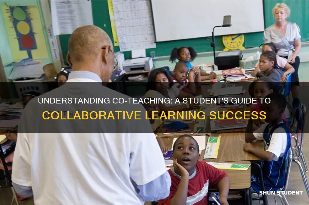 how to explain co-teaching to students