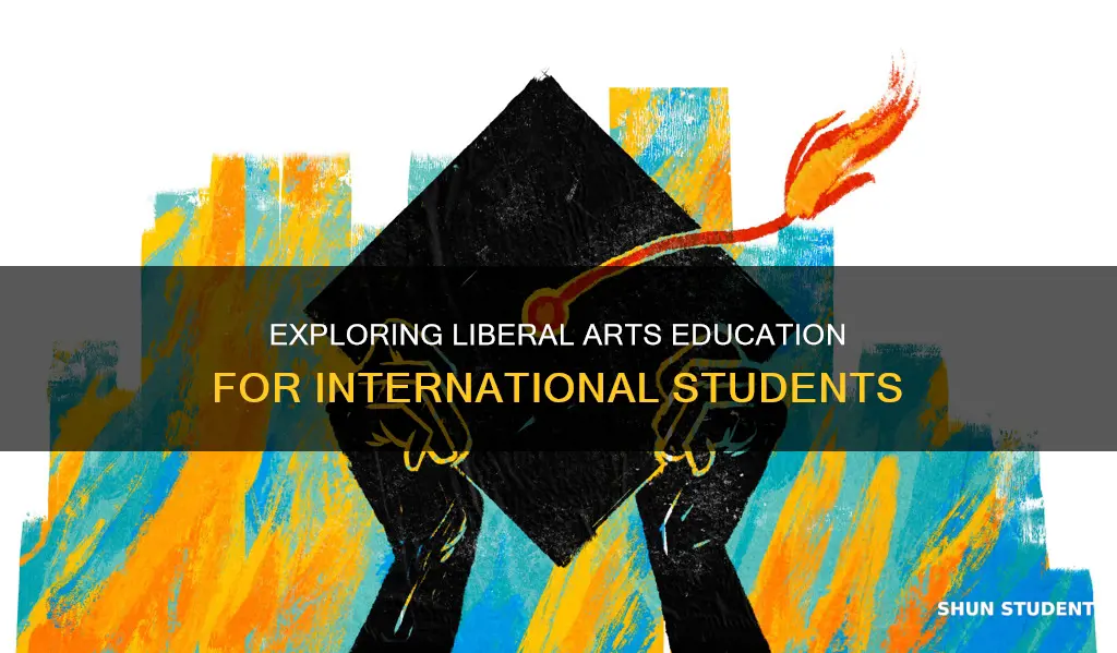 how to explain liberal arts education to international students