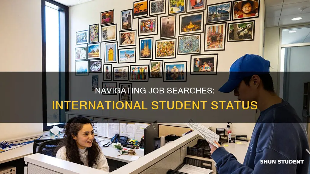 how to explain to employer i am an international student