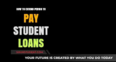 Extending Student Loan Payment Periods: Strategies for Managing Debt
