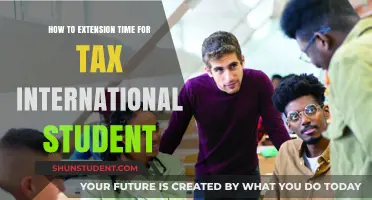 International Students: Tax Extension Strategies