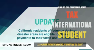 International Students: Filing California State Taxes Made Easy