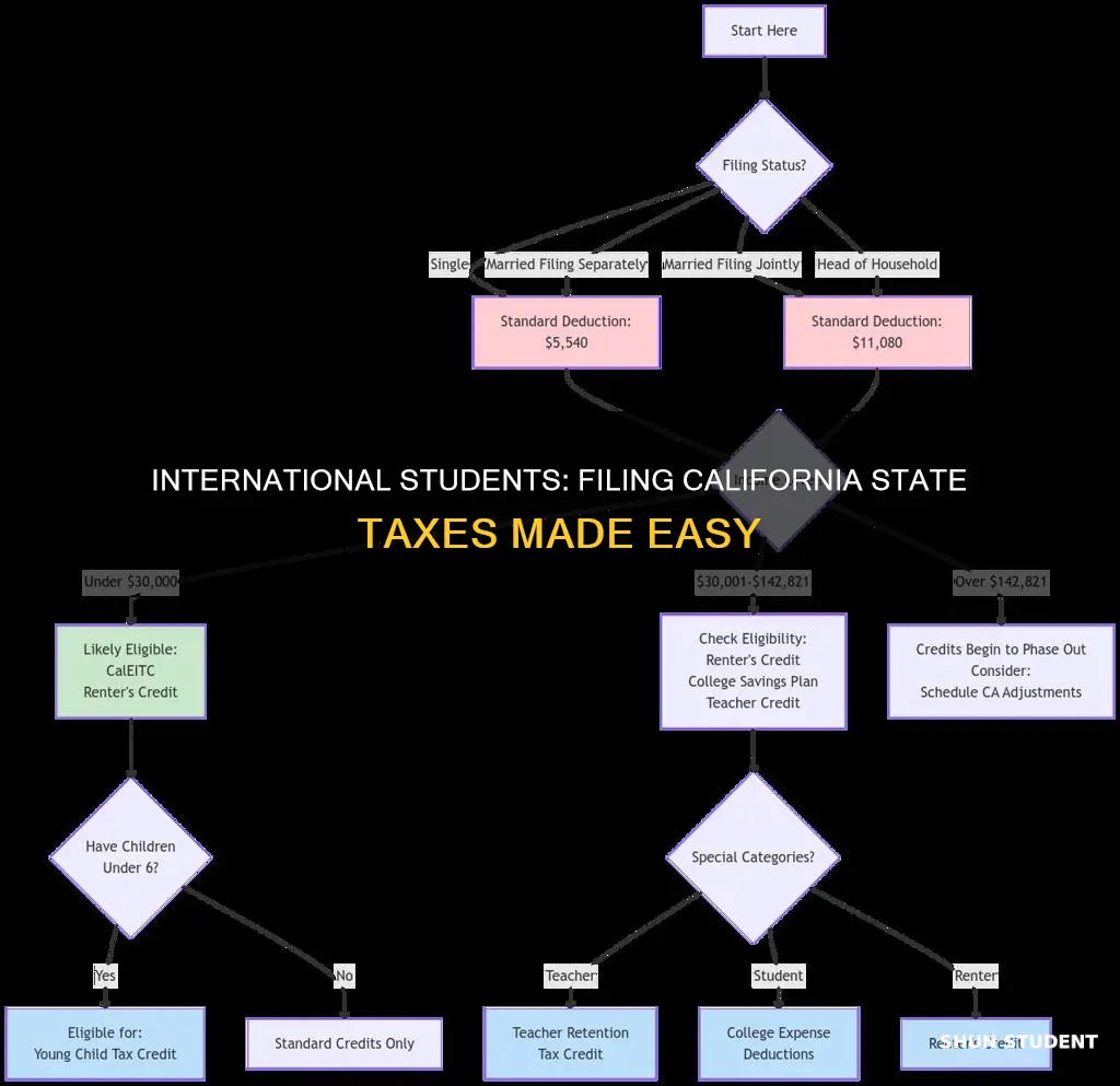 how to file california state tax international student