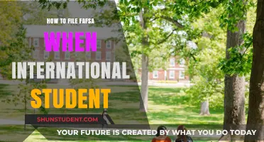 International Students: Filing FAFSA the Right Way