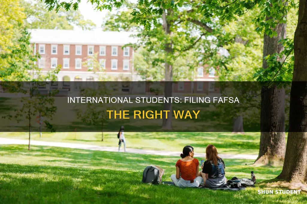how to file fafsa when international student