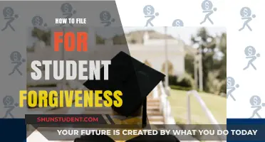 Ultimate Guide to Filing for Student Loan Forgiveness Successfully