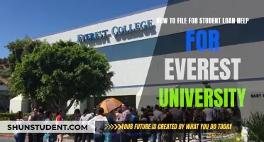 Evergreen Steps: Navigating Student Loan Relief for Everest University Graduates