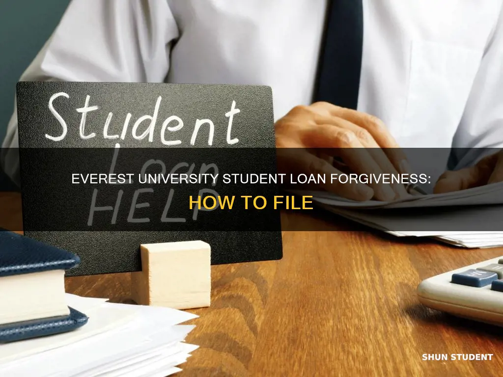 how to file for student loan help for everest university