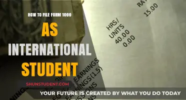 International Students: Filing 1099 Forms Simplified