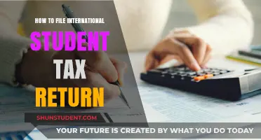 Filing Taxes: International Student's Guide to Returns