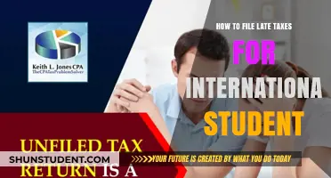 Filing Late Taxes: A Guide for International Students