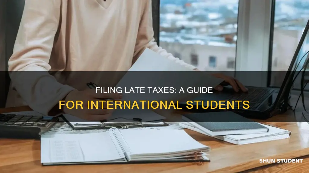how to file late taxes for international student