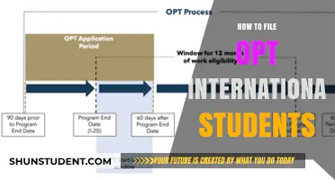 International Students: Guide to Filing for OPT